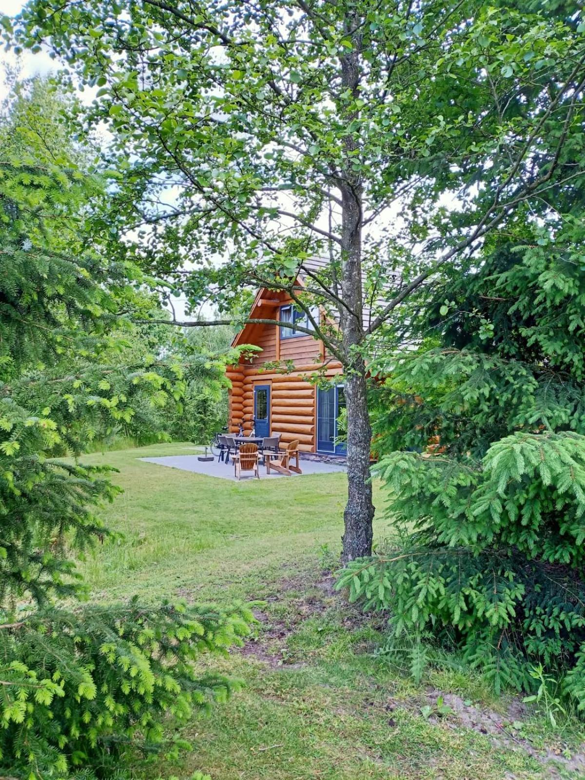 Unieke Houten Villa Met Sauna In Twente - 6P Den Ham Esterno foto